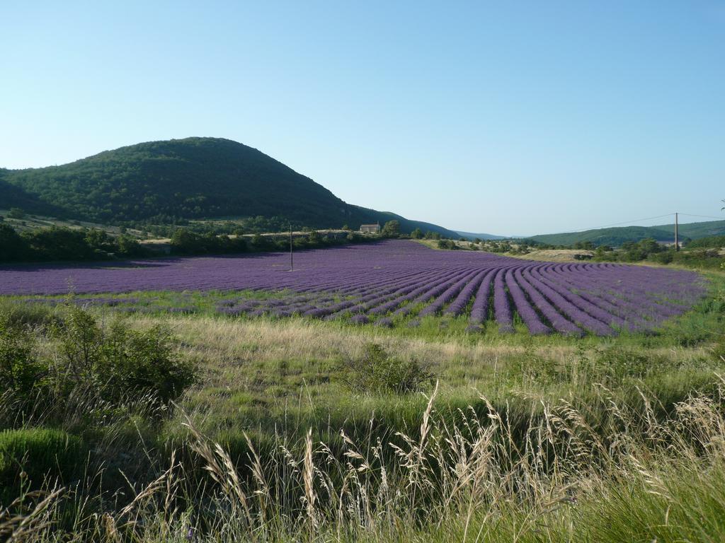 La Grange De La Lavande Lardiers Eksteriør bilde
